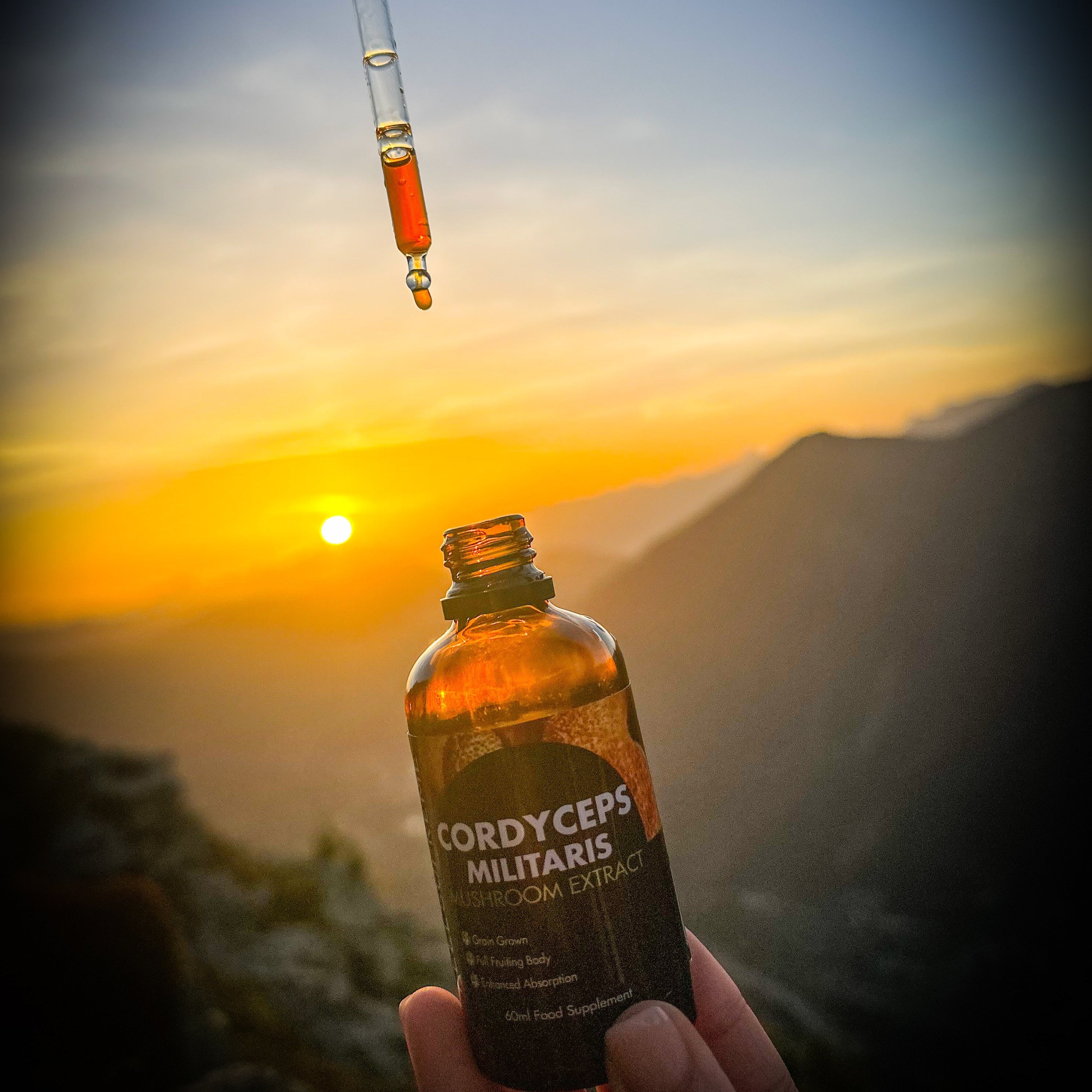 Feel Supreme Cordyceps Militaris Mushroom Liquid