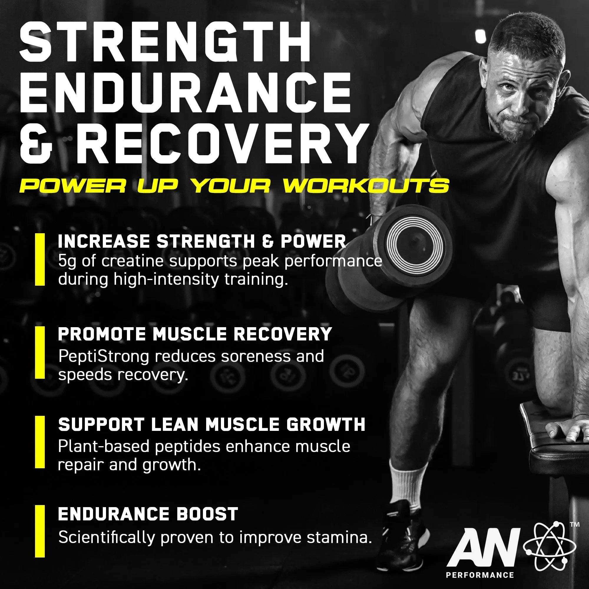 Applied Nutrition Creatine Monohydrate + Peptide (60 Servings)