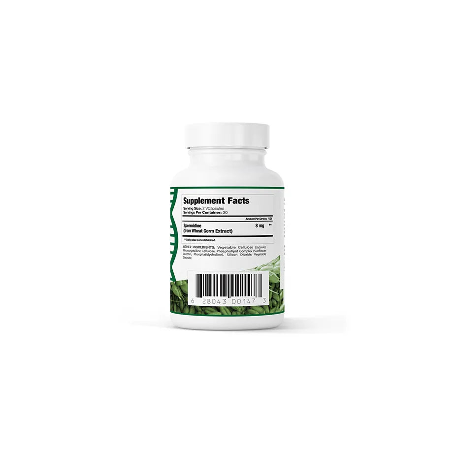 Spermidine (60 Capsules)