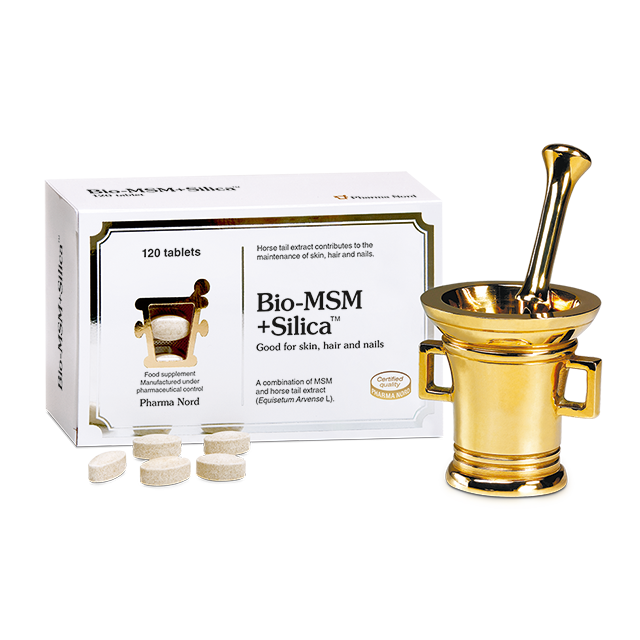 BioCare Bio-MSM+Silica