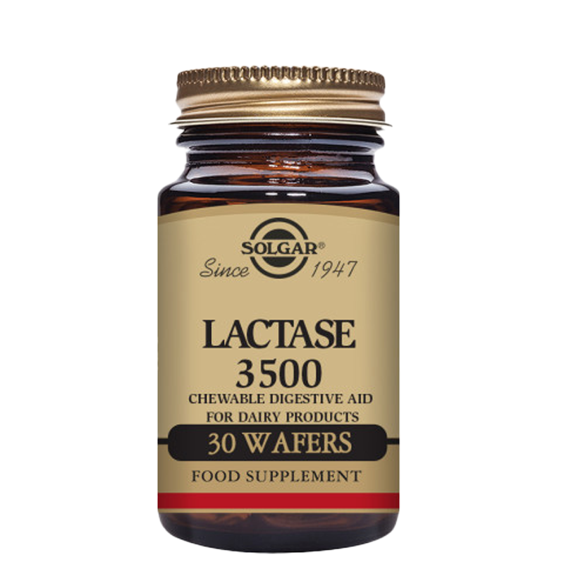 Solgar Lactase 3500 Wafers - Pack of 30
