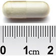 Higher Nature Glutamine Capsules